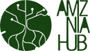 Amazônia Hub