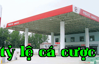 Kỹ thuật khung lưới
